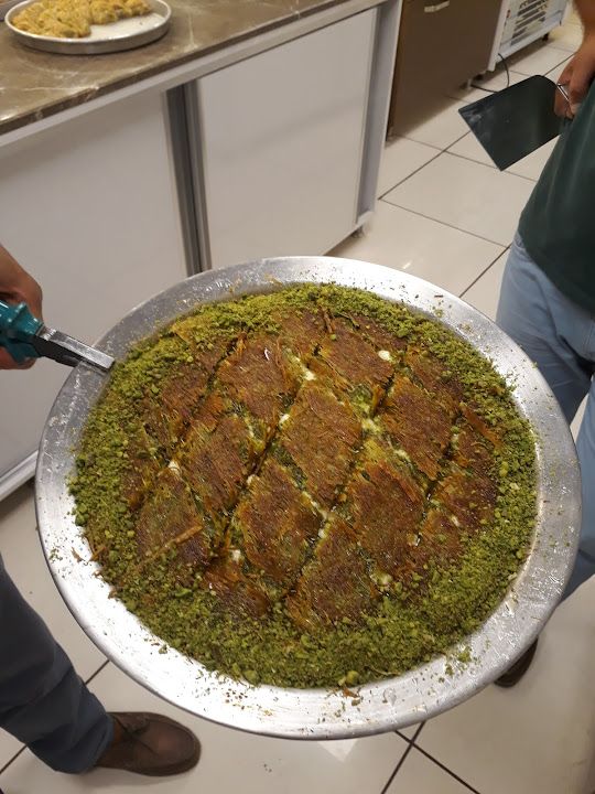 Fotoğraf 24