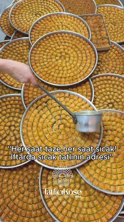 Fotoğraf 16
