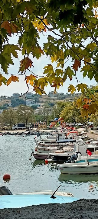 Yorum fotoğrafı 3