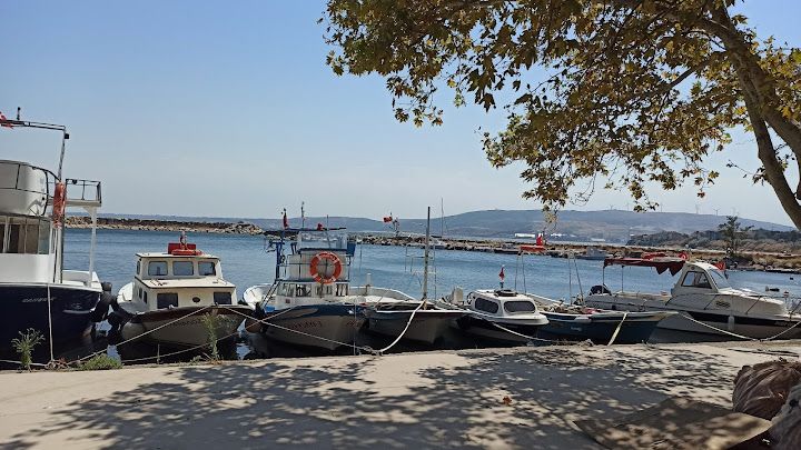 Yorum fotoğrafı 2
