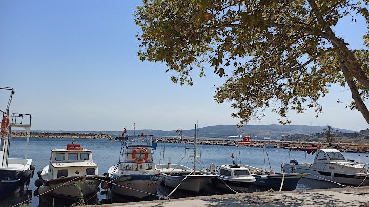 Yorum fotoğrafı 3