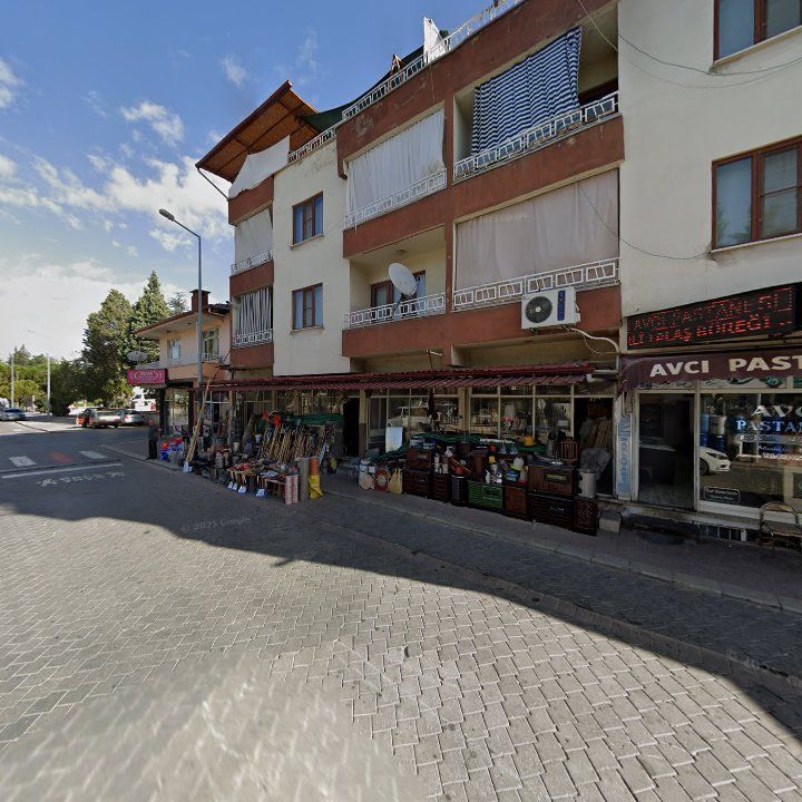 Fotoğraf 9
