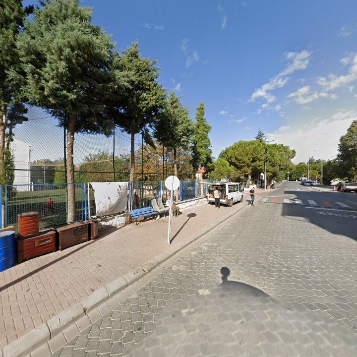 Fotoğraf 12