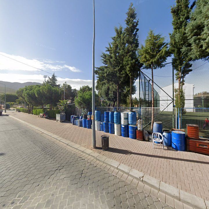 Fotoğraf 11