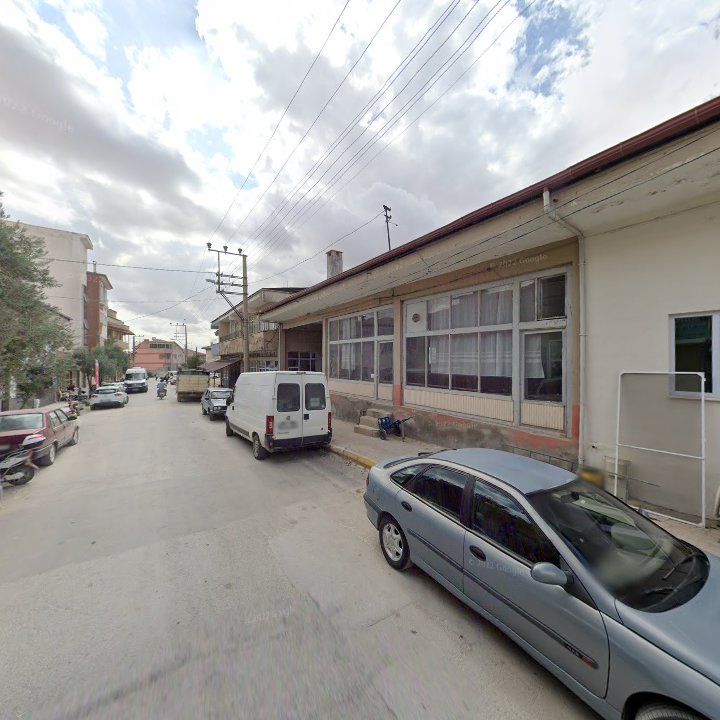 Fotoğraf 8