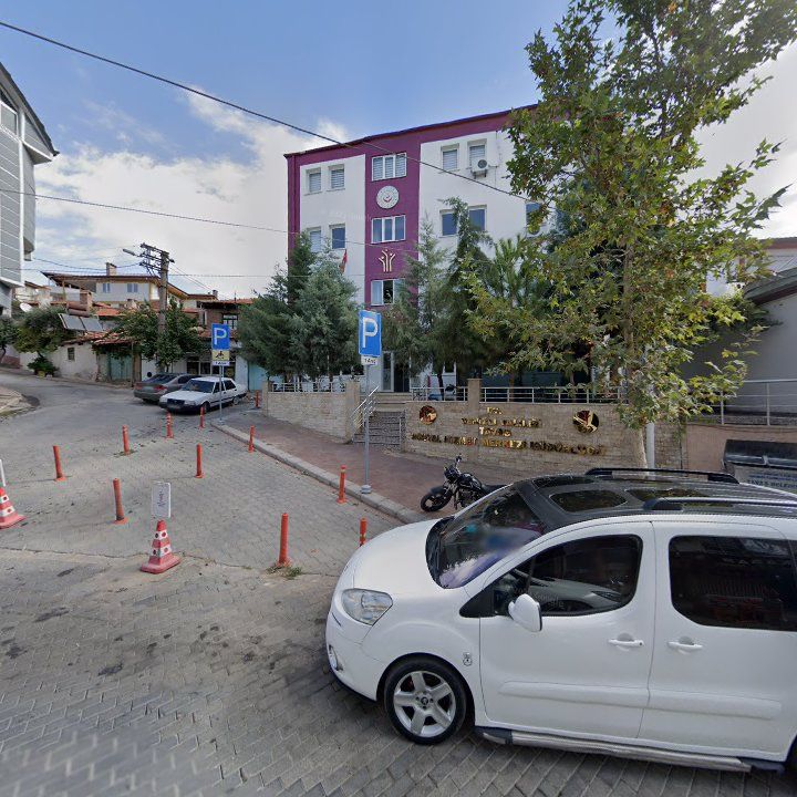 Fotoğraf 7