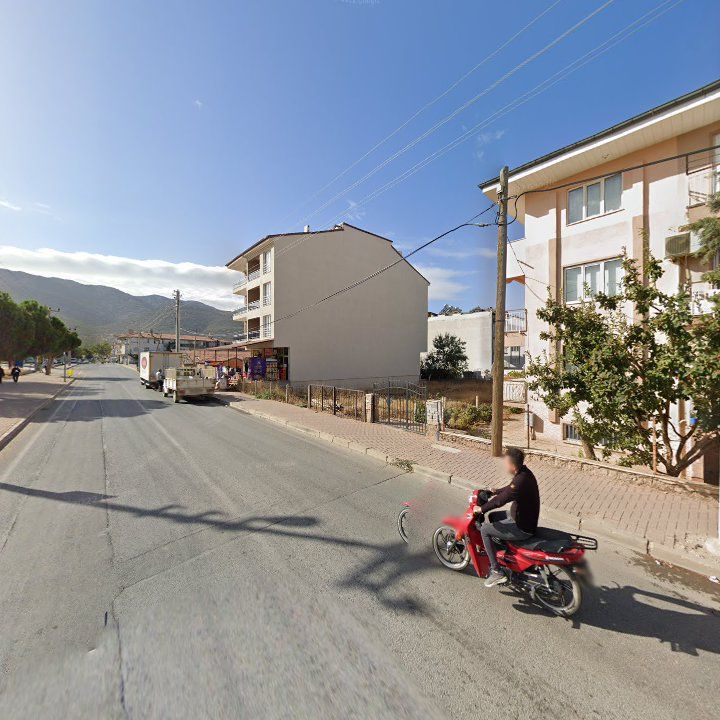 Fotoğraf 8