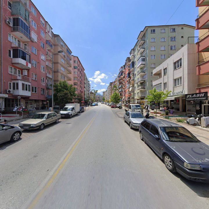Fotoğraf 8