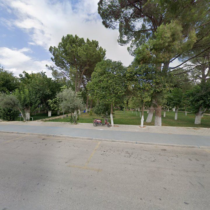 Fotoğraf 7