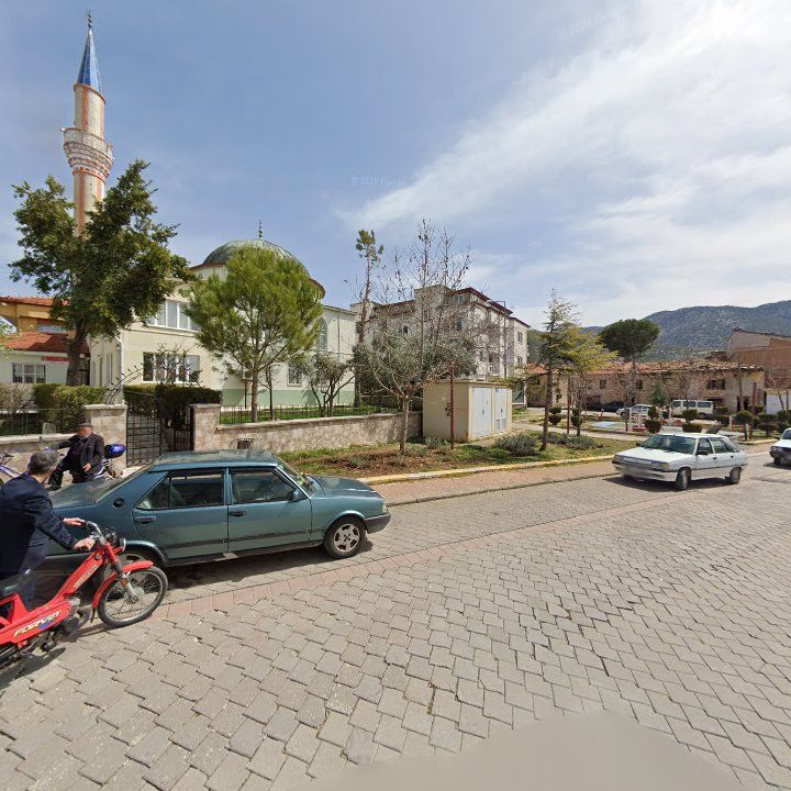 Fotoğraf 7
