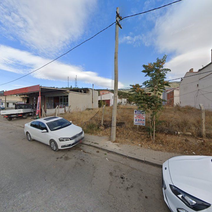 Fotoğraf 12