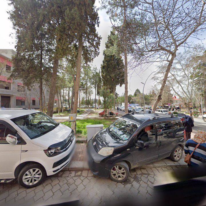 Fotoğraf 9