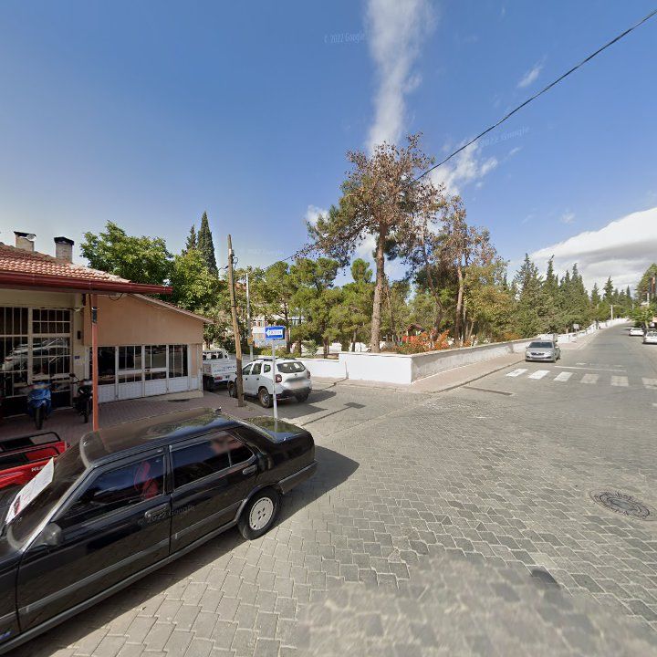 Fotoğraf 6