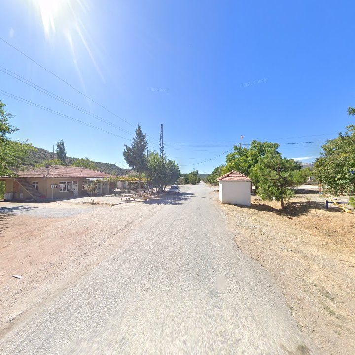 Fotoğraf 9