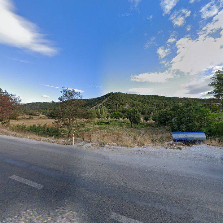 Fotoğraf 10
