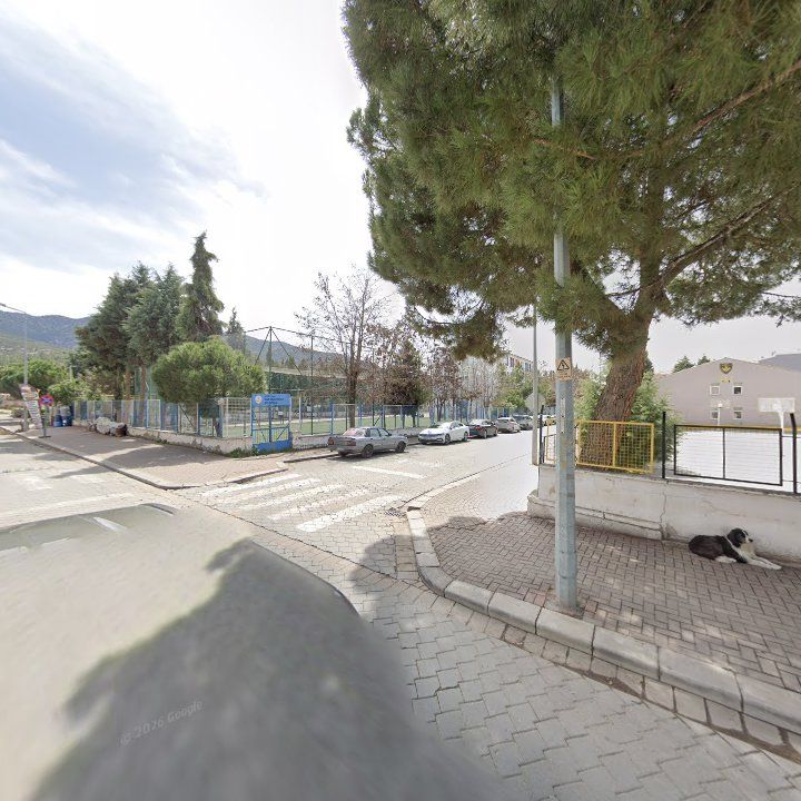 Fotoğraf 7