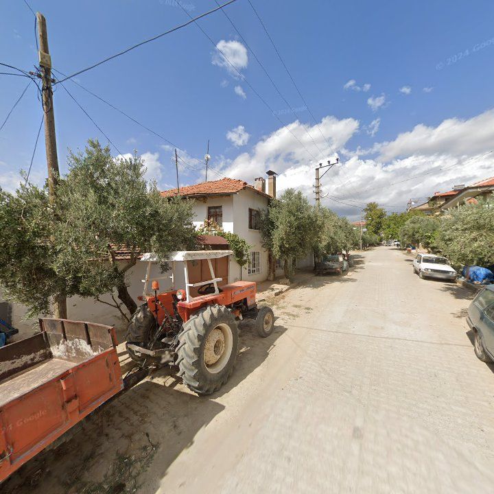 Fotoğraf 6