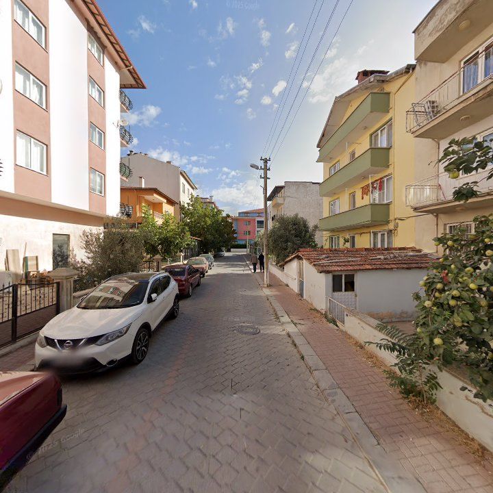 Fotoğraf 7
