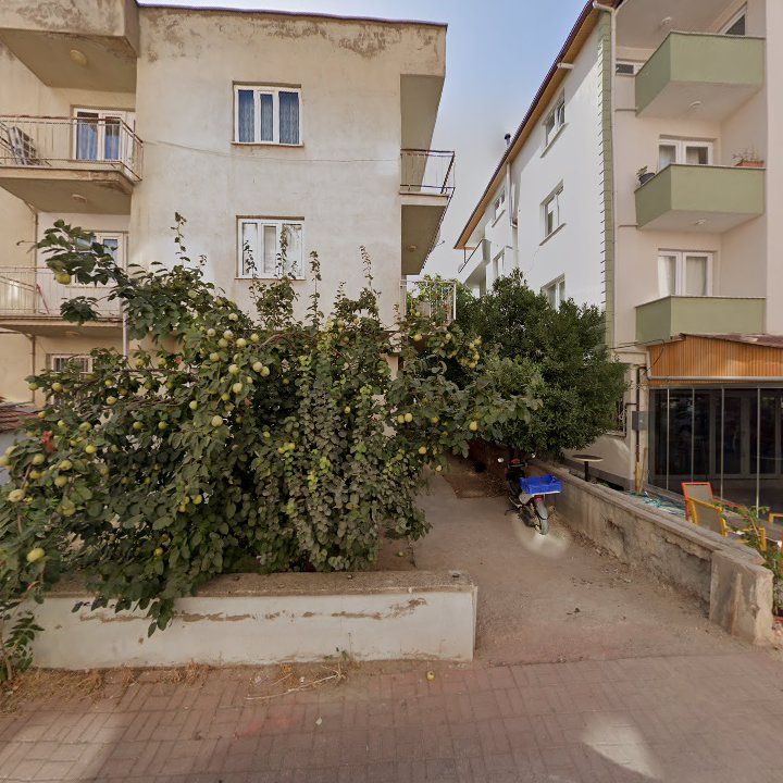 Fotoğraf 4