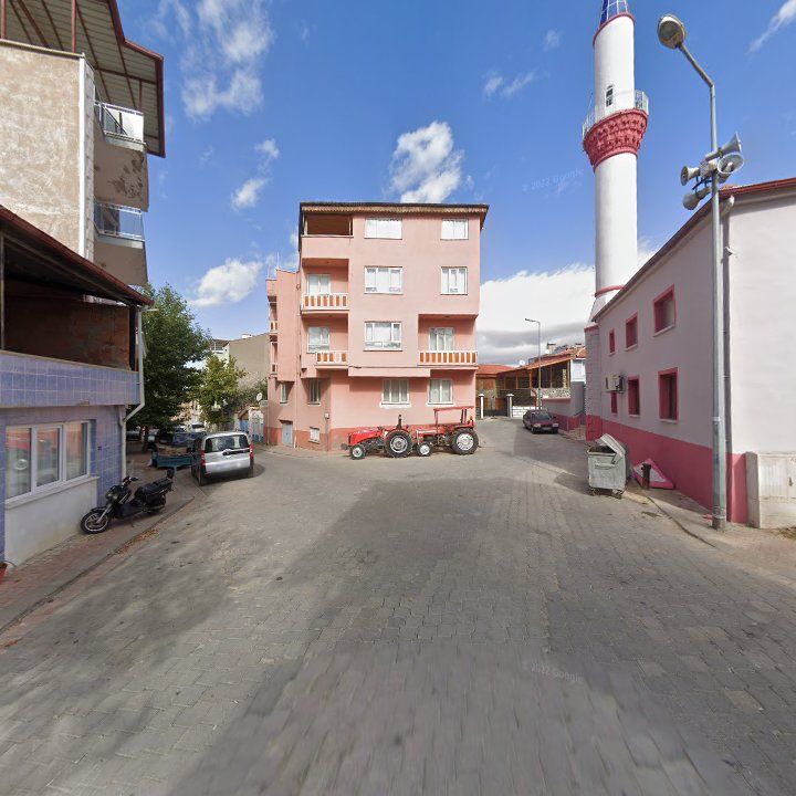 Fotoğraf 7