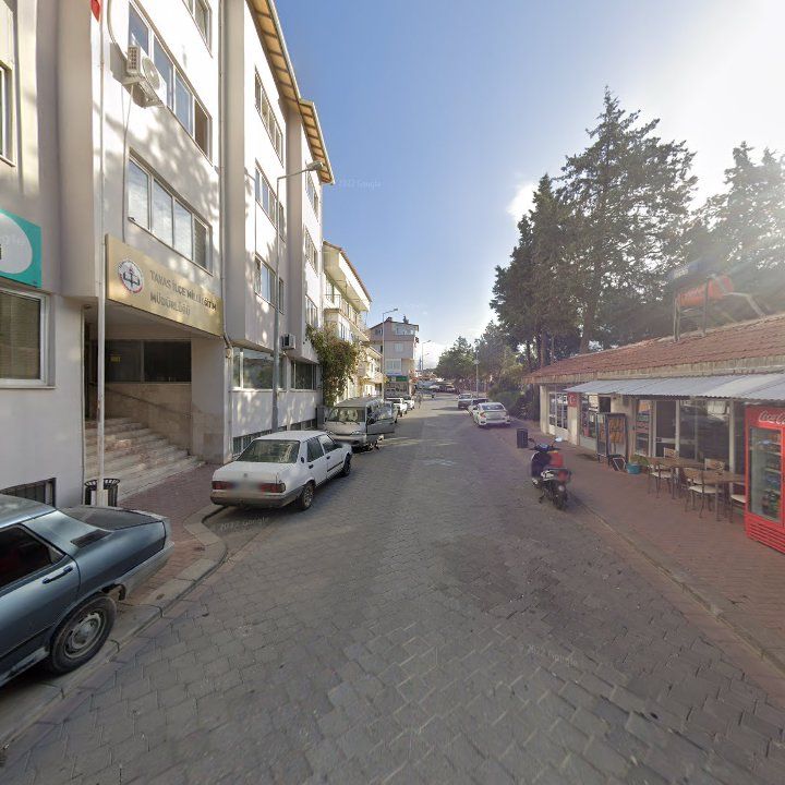 Fotoğraf 8