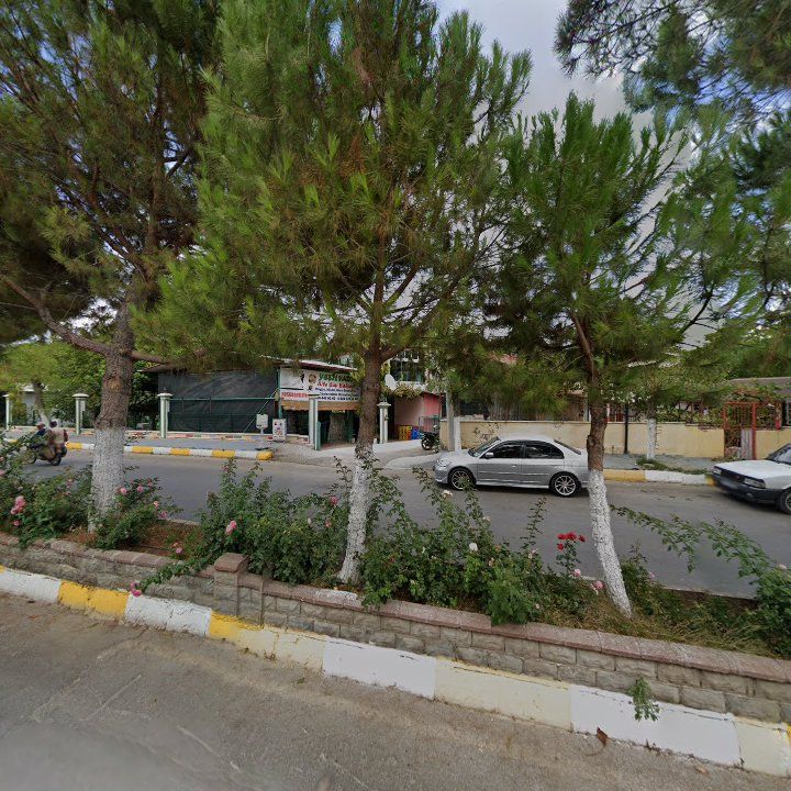 Fotoğraf 7