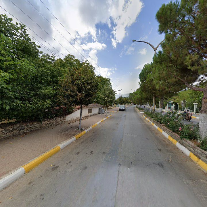 Fotoğraf 6