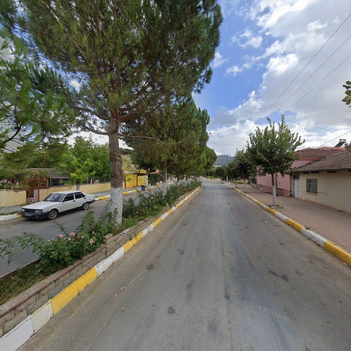 Fotoğraf 4
