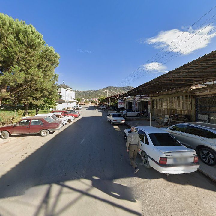 Fotoğraf 7
