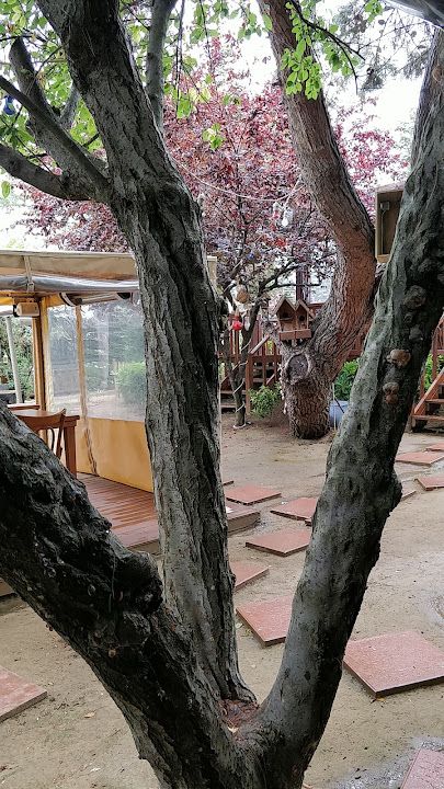 Yorum fotoğrafı 4