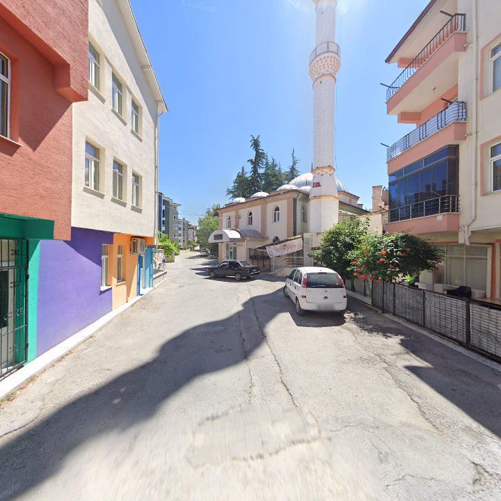 Fotoğraf 5