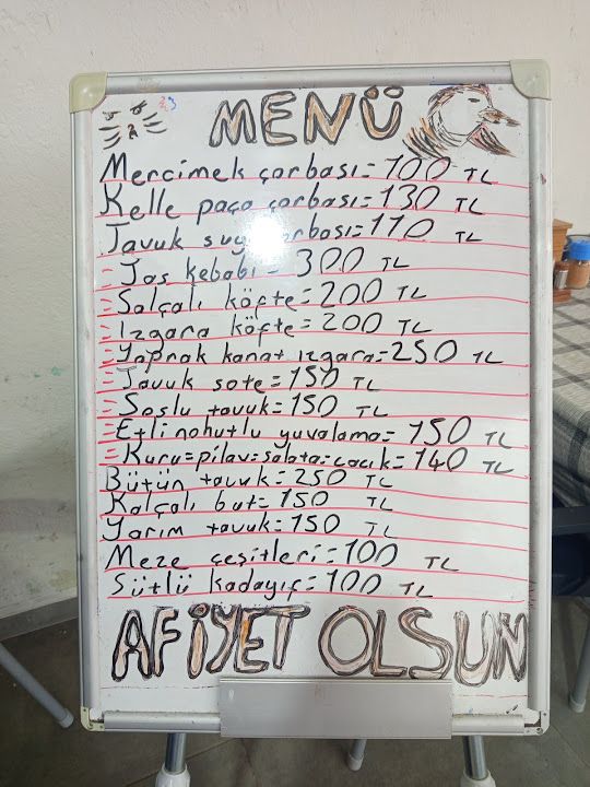 Fotoğraf 12
