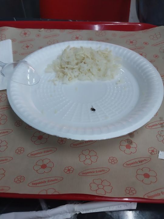 Fotoğraf 36