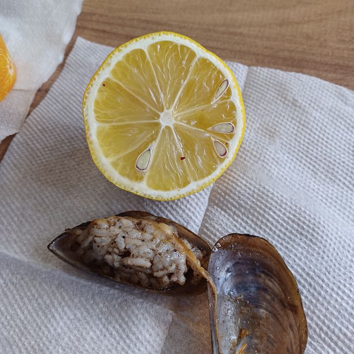 Fotoğraf 16