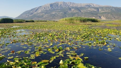 Yorum fotoğrafı 10