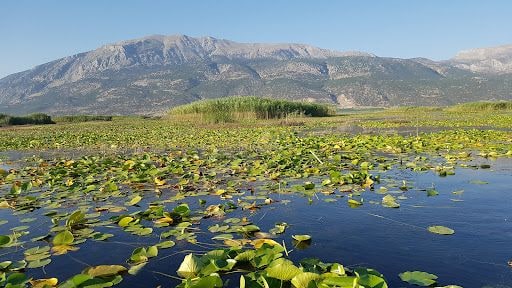 Yorum fotoğrafı 7