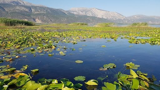 Yorum fotoğrafı 8