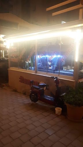 Fotoğraf 17