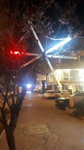 Fotoğraf 18