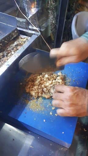 Fotoğraf 22