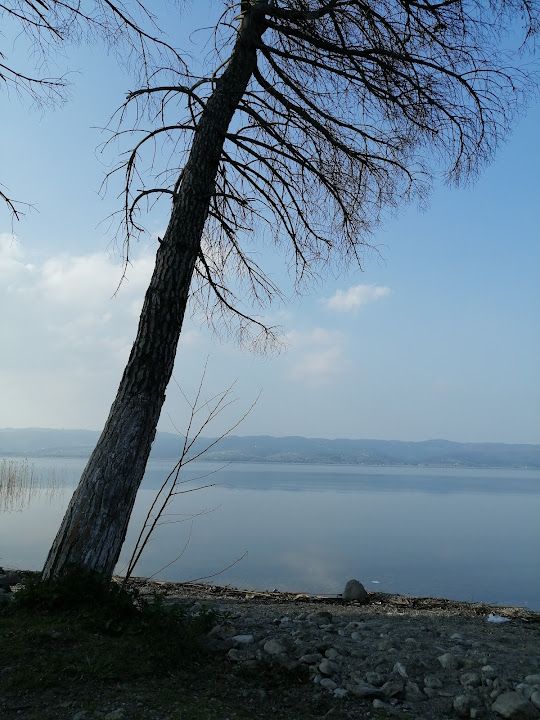 Fotoğraf 20