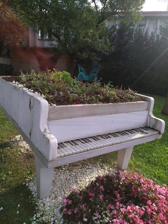 Fotoğraf 66