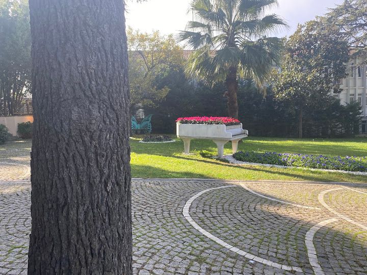 Fotoğraf 73