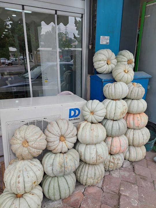 Fotoğraf 17