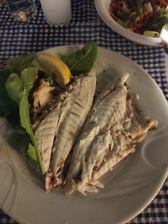 Fotoğraf 15