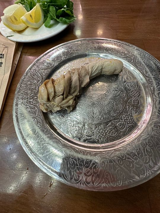 Fotoğraf 24