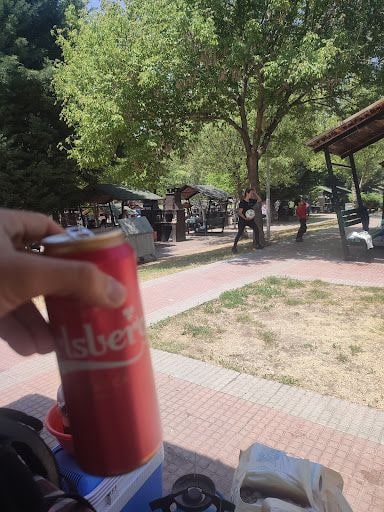 Fotoğraf 12