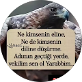 Tekin Okcu