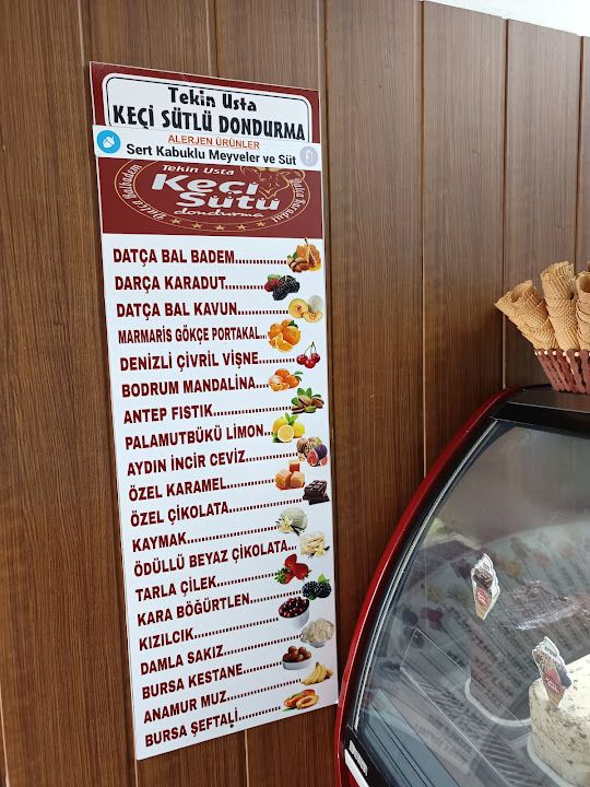 Fotoğraf 24