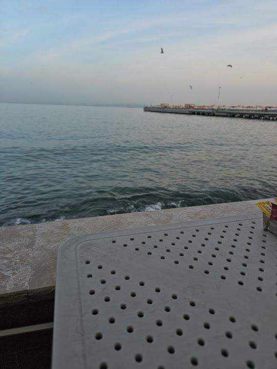 Fotoğraf 27
